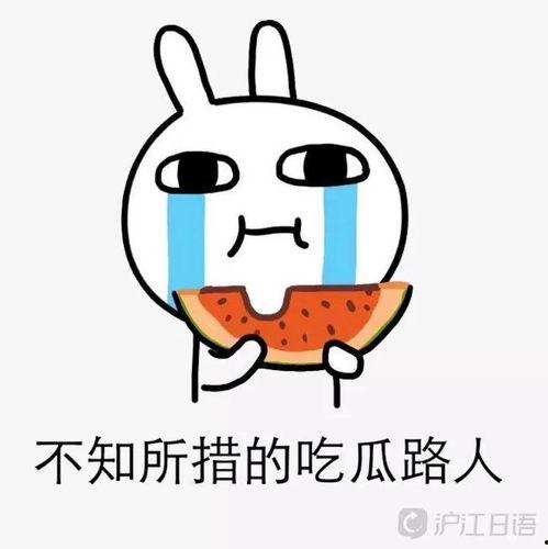 娱乐吃瓜酱远离负能量,与娱乐吃瓜酱共度美好时光